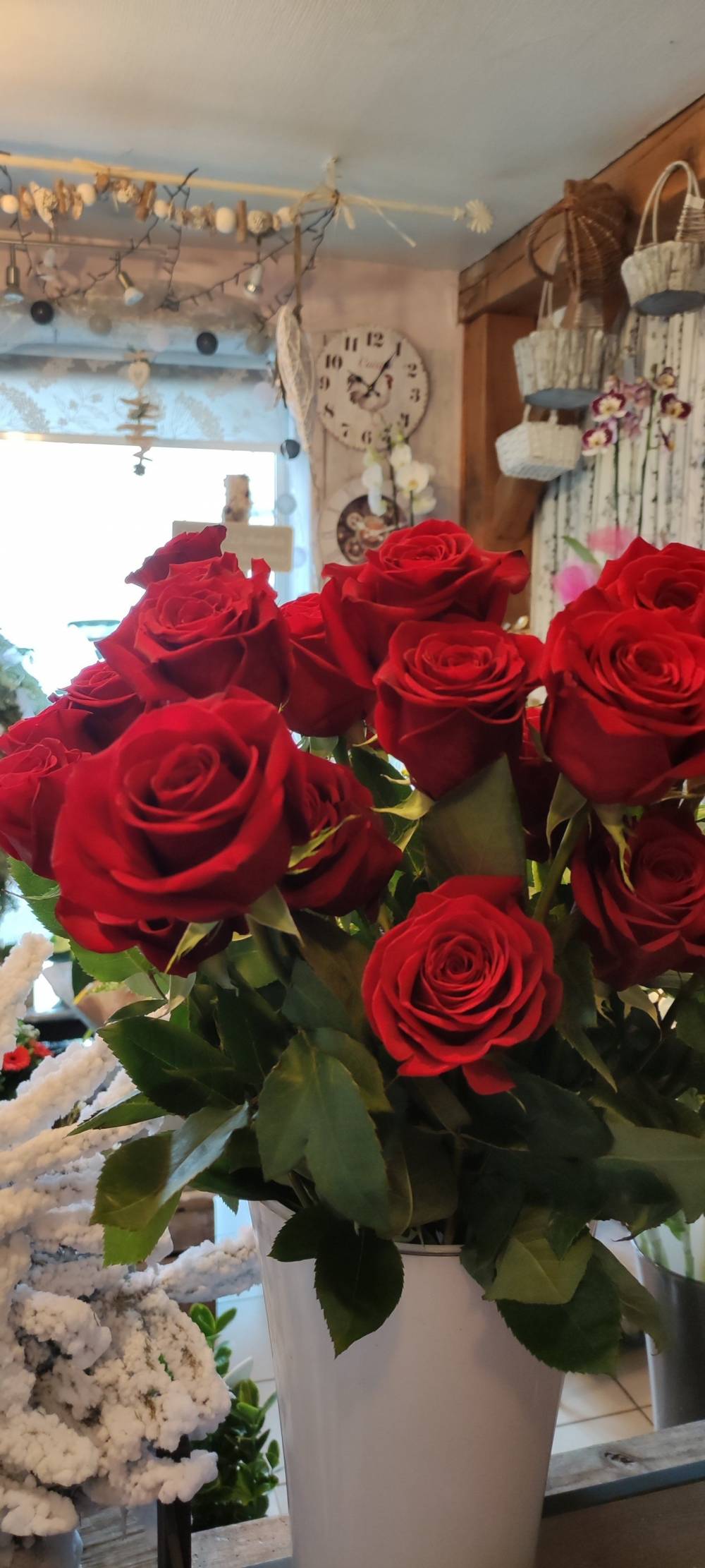 roses rouges